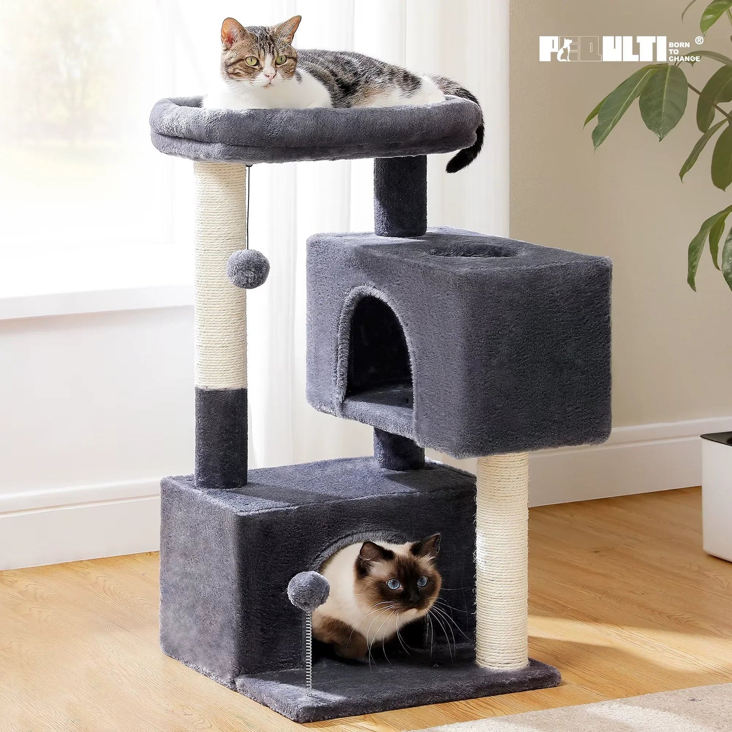 Pet Care & Accessories